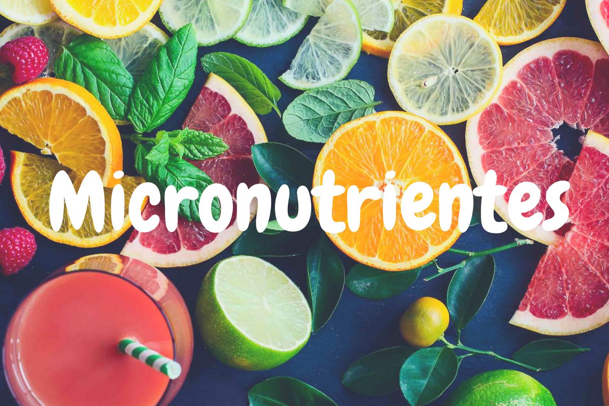 (c) Micronutrientes.online