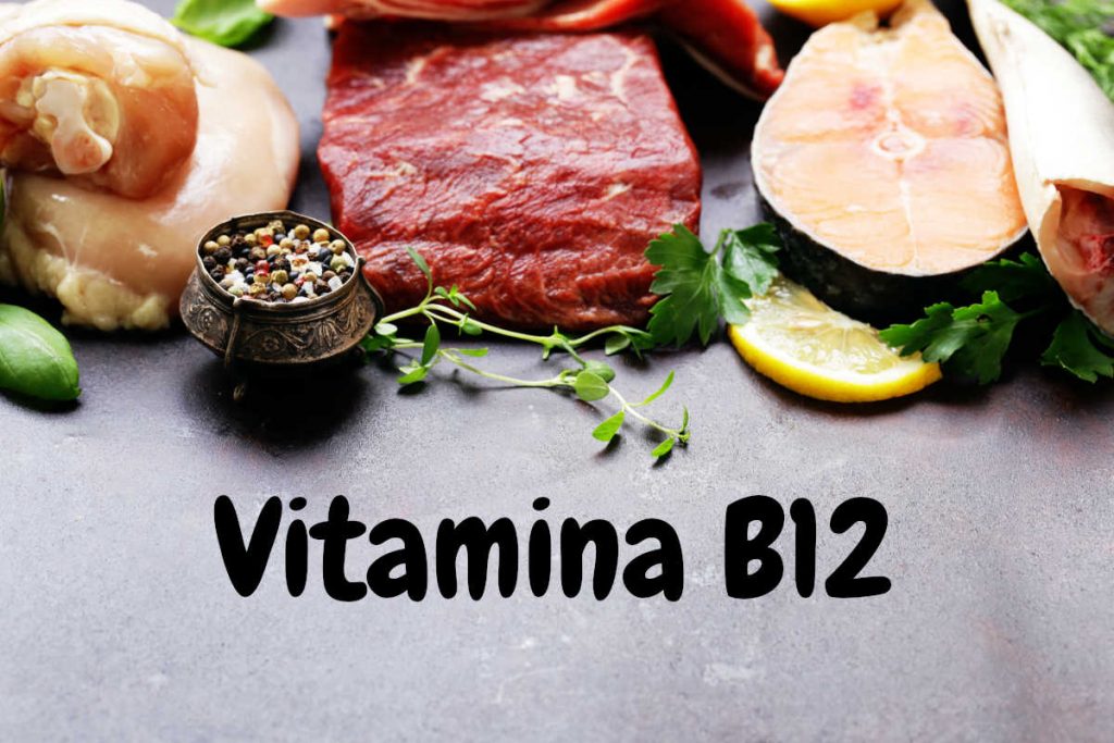 Principales Fuentes de Vitamina B12