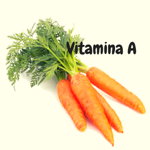 Fuentes vitamina A